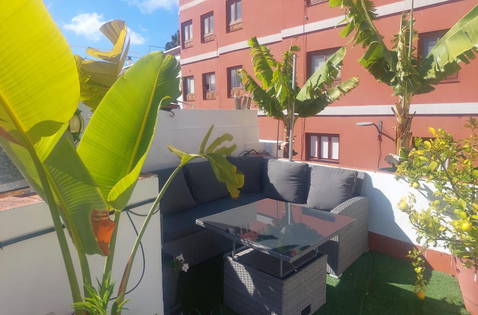 拉拉古纳Agradable Casa Con Terraza公寓 外观 照片
