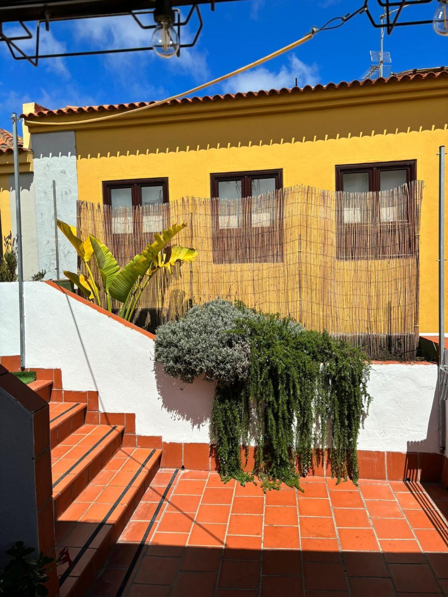 拉拉古纳Agradable Casa Con Terraza公寓 外观 照片